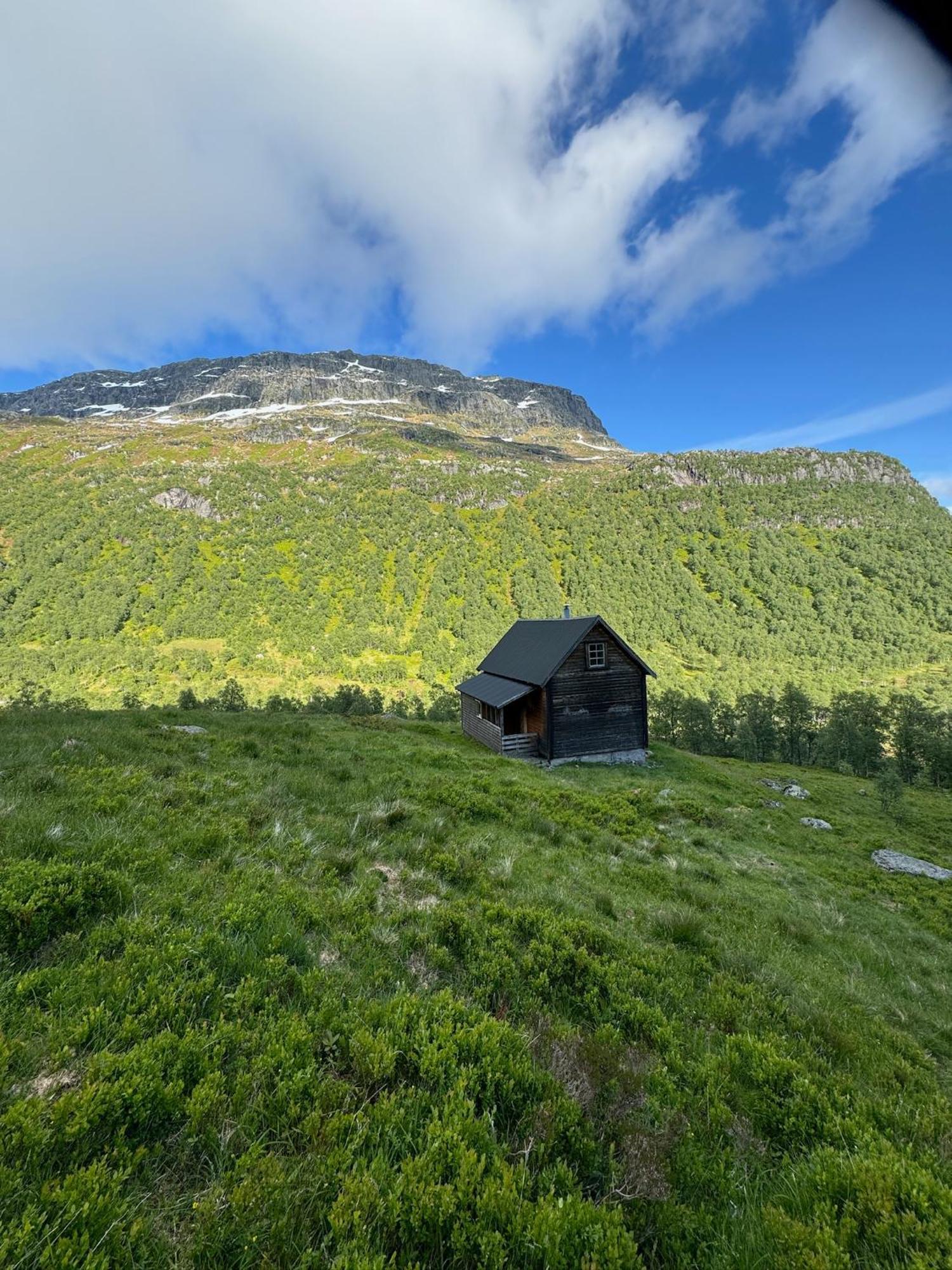 Minnehaugen I Handeland Lodge Sauda Εξωτερικό φωτογραφία